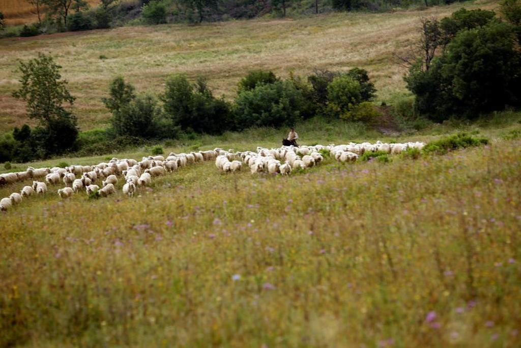 マンチャーノ Fattoria Poggio Focoヴィラ エクステリア 写真