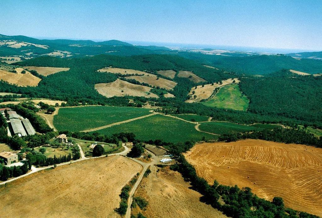 マンチャーノ Fattoria Poggio Focoヴィラ エクステリア 写真