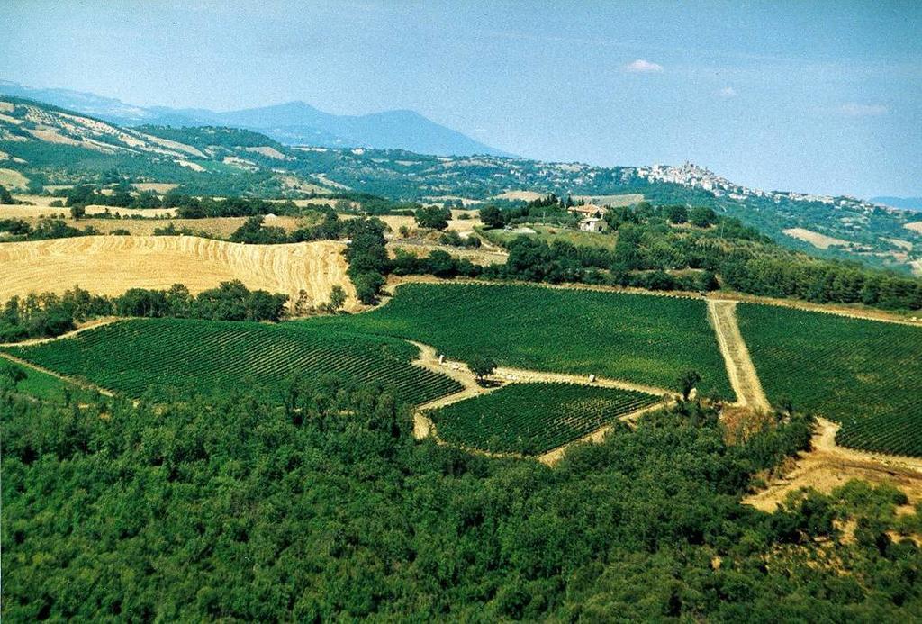 マンチャーノ Fattoria Poggio Focoヴィラ エクステリア 写真