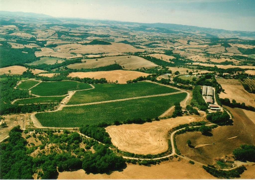 マンチャーノ Fattoria Poggio Focoヴィラ エクステリア 写真